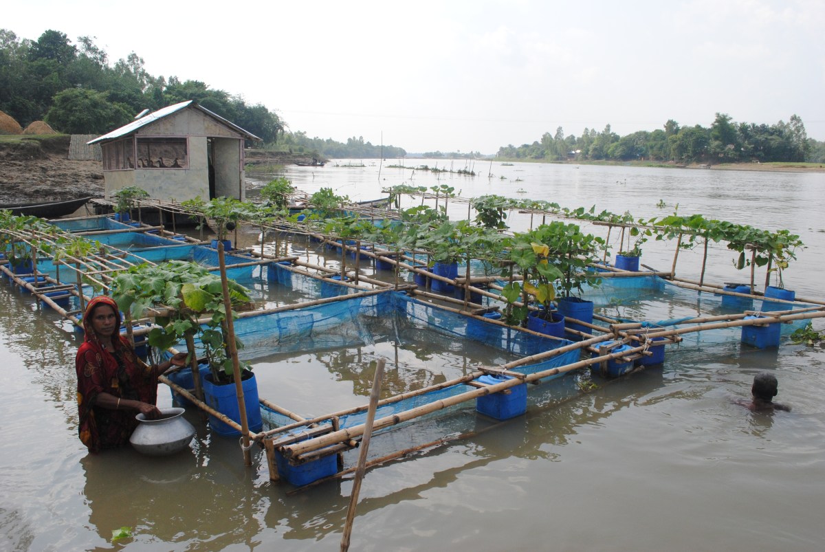 Farming on Water to Prevent the Effects of Climate Change | Amy Yee