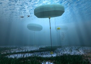 An artist’s rendering of experimental buoys made by Carnegie Wave Energy. The buoys harness the motion of waves  off Australia and use it to create electricity and desalinate water Credit Carnegie Wave Energy Limited