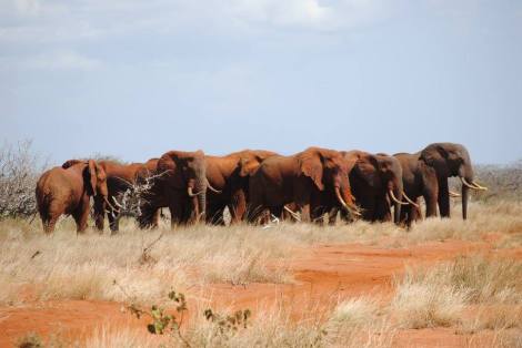 12719129_1309813205700499_7327868818583465038_o